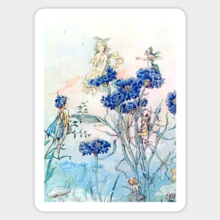 Cornflower Flower Fairies - Harold Gaze Sticker